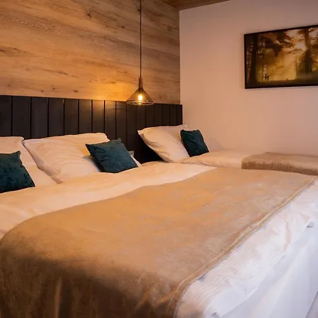 Apartmán Hillside No. 18 Loučná pod Klínovcem